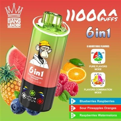 Bang Leader 110K 6 in 1