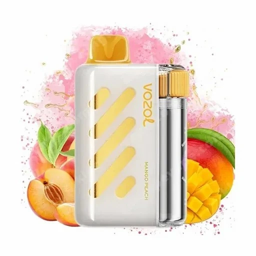 Vista 40K Puff For Vozol suppliers