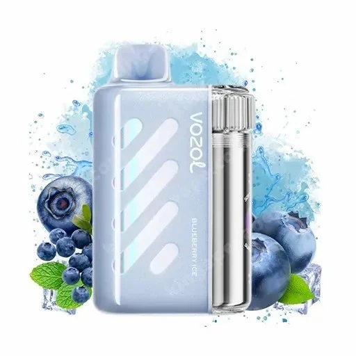 Vista 40K Puff For Vozol manufacturers